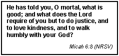 Text Box: He has told you, O mortal, what is good; and what does the Lord require of you but to do justice, and to love kindness, and to walk humbly with your God?
Micah 6:8 (NRSV)
