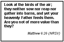 Text Box: Look at the birds of the air; they neither sow nor reap nor gather into barns, and yet your heavenly Father feeds them. Are you not of more value than they?
Matthew 6:26 (NRSV)
